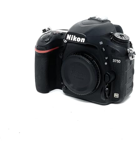 Nikon D750 Compact Digital Camera 24.3 Megapixels Wi-Fi Black
